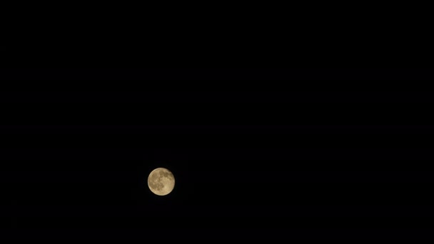 7680X4320 4320P Full Moon Rising Cloudless Night Sky Black Background — Stok video