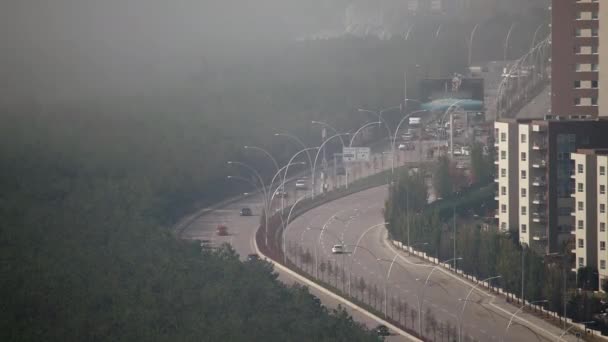 7680X4320 Air Pollution City Forest Houses Streets Mist Traffic Green — Stok video