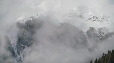 8K 7680X4320 4320p.Foggy mist in mystical snowy forest.Between fogs mountains in winter.Misty air in majestic imposing gloomy deep mountainous.Woodland forests with time lapse.Real nature landscape.