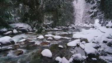 8K 7680X4320 4320p.Stream in the snowy forest.Waters of the river in the mountain.Cold and snows weather in the wooded valley in nature.Snow on the stones in the creek.Woodland background landscape.