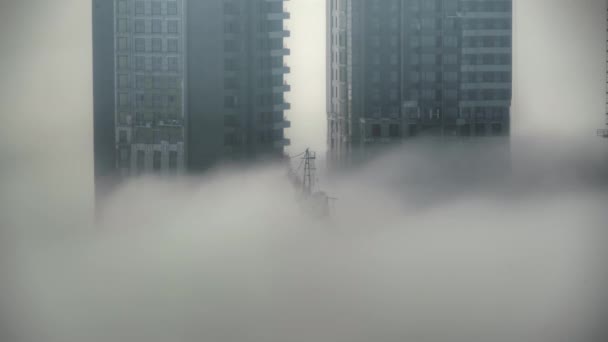 Кінематографічна 7680X4320 Skyscraper Будівництво Над Хмарами Skyscraps Хмарах Тумані Собаки — стокове відео