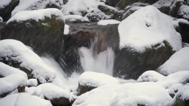 7680X4320 4320P Stream Snowy Forest Wateram River Mountain — 비디오