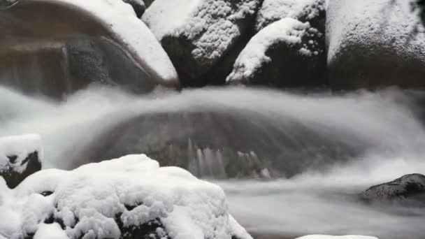7680X4320 4320P Stream Snowy Forest Waters River Mountain Cold Snows — Vídeo de Stock