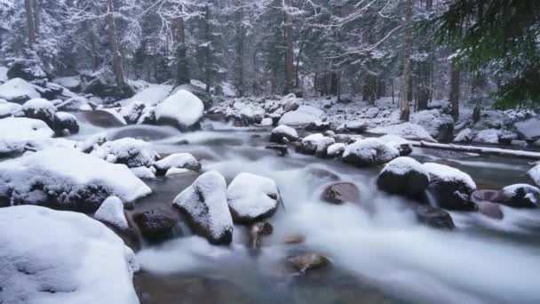 7680X4320 4320P Stream Snowy Forest Waters River Mountain Cold Snows — Stockvideo