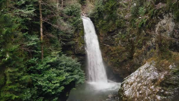 7680X4320 4320P Großer Wasserfall Zwischen Bäumen Unberührtem Wald Wasserfall Ist — Stockvideo