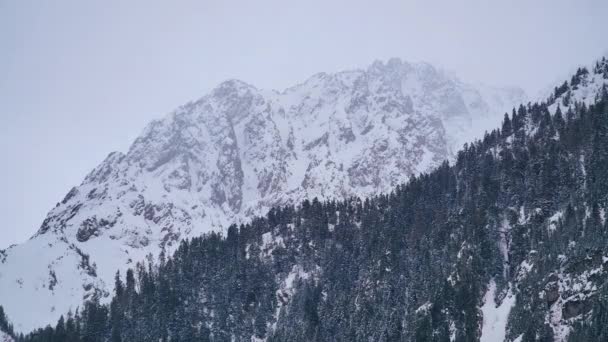 7680X4320 4320P Snowy Pic Montagne Derrière Forêt Haute Altitude Sommet — Video