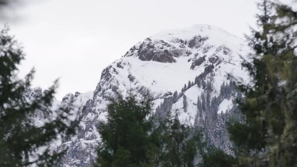 7680X4320 4320P Snowy Pic Montagne Derrière Forêt Haute Altitude Sommet — Video