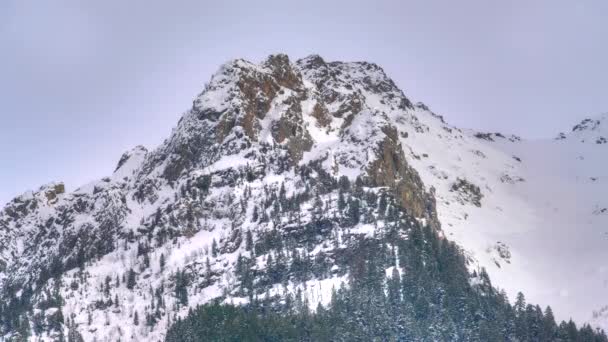 7680X4320 4320P Snowy Pico Montaña Detrás Altitud Forest High Cumbre — Vídeo de stock