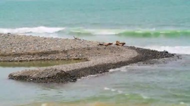 8K 7680X4320 4320p.Promontory headland formed by naturally occurring sand piles in the sea.A promontory is a raised mass of land that projects into a body water.Coastal tombolo estuary longshore spit sandspit landform small peninsula coast coastline 
