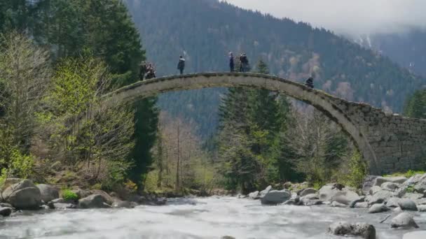7680X4320 4320P People Walking Historical Stone Arch Bridge Stream Forest — Stockvideo