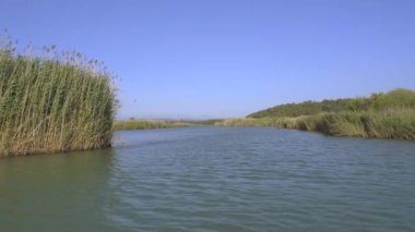 4K.Düz bir düzlükte sazlıklarla çevrili bir nehir. Kamera su yüzeyine çıkıyor. Düzlüklerde tatlı su akışı. Yazın güneşli bir gün. Huzurlu, ıssız ve el değmemiş bir yer.