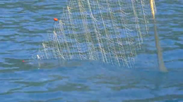 Sväva Fiskenät Dra Från Havet Nylon Fiskenät Med Flottör Lina — Stockvideo