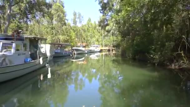 River Surrounded Reeds Flat Plain Camera Going Water Surface Freshwater — Stock Video