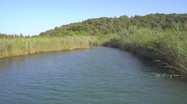 4K.Düz bir düzlükte sazlıklarla çevrili bir nehir. Kamera su yüzeyine çıkıyor. Düzlüklerde tatlı su akışı. Yazın güneşli bir gün. Huzurlu, ıssız ve el değmemiş bir yer.