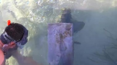 Yosun tutmuş bir gemi pervanesini ve dümeni temizliyorum. Denizdeki bir teknenin yosun kaplı kısımları siliniyor. Bir dalgıç sünger beziyle tekneye bakıyor. Tekne yosunları topluyor..