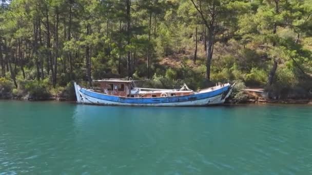 森の端の海に放棄された古い歴史的な木製のボート ティルハンディルはエーゲ海の船の最古のスタイルです ティルハンドルは エーゲ海の帆船 2つのマスト ボウスピリットと後の帆の伝統的な要素を持っています — ストック動画