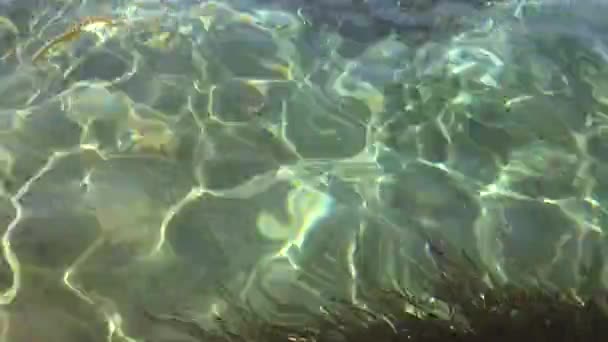 Reflection Luz Superfície Mar Areia Rasa Água Areia Mar Com — Vídeo de Stock