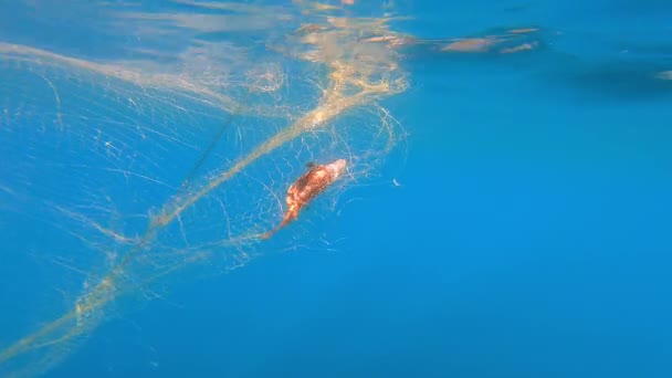 误捕网中的鱼悬挂在海底的小船上深蓝色的海的水下钓鱼 误捕在螺旋线捕鱼网中的鱼 — 图库视频影像