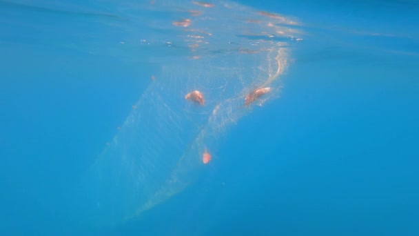 海の下のボートからぶら下がっている網の魚 深い青の海の水中釣りスパイラルライン釣り網でキャッチ魚 無限の中に伸びる亀 トラップスネア待ち伏せデコイルアーアンブスケード伝統的な船の罠アンブスケード — ストック動画