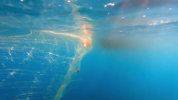 Gefangen Fische Netz Hängen Vom Boot Unter Dem Meeres Unterwasserfischen — Stockvideo
