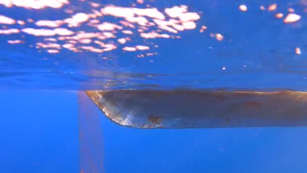 Fischernetz Hängt Vom Boot Unter Dem Meeres Unterwasserfischen Von Tiefblauem — Stockvideo