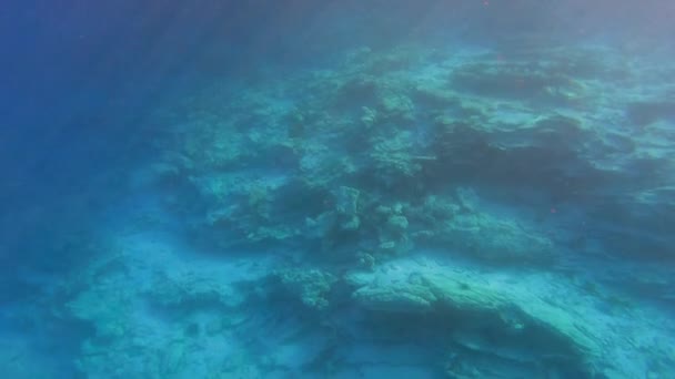 Undervattensutsikt Över Det Tomma Havet Utan Växter Och Tecken Liv — Stockvideo