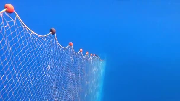 Halászháló Lóg Hajó Tenger Alatt Víz Alatti Halászat Mély Kék — Stock videók