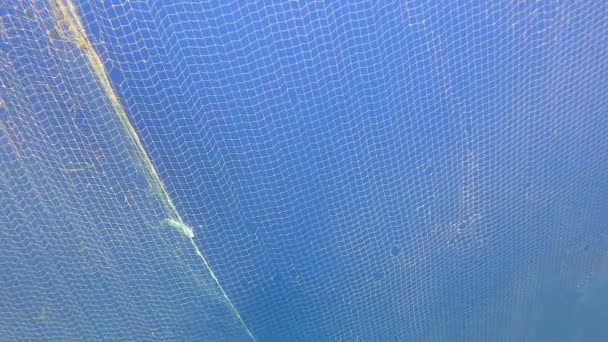 Gefangen Fische Netz Hängen Vom Boot Unter Dem Meeres Unterwasserfischen — Stockvideo