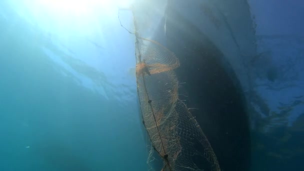 Fångad Fisk Nätet Hängande Från Båten Havet Undervattensfiske Efter Djupblå — Stockvideo