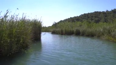 4K. Düz bir düzlükte sazlıklarla çevrili bir nehir. Kamera su yüzeyine çıkıyor. Yazın güneşli bir gün. Huzurlu, ıssız ve el değmemiş. 
