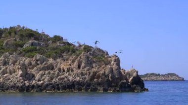 Kayalık adada 4K.Heron deniz kuşları. Bir resifin üzerindeki kaya birikintilerinden oluşan AVM adası. Isslette Adası kıyı şeridindeki ıssız, ıssız, ıssız bir adanın anahtar iskelesi. 