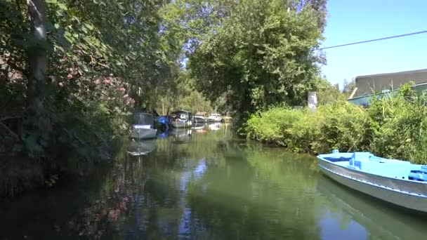 River Surrounded Reeds Flat Plain Camera Going Water Surface Freshwater — Stock Video