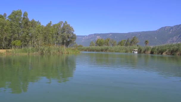 4Ka河流在平坦的平原上被芦苇环绕 照相机在水面上行驶 淡水在低洼地区 夏日阳光明媚 无人居住 — 图库视频影像