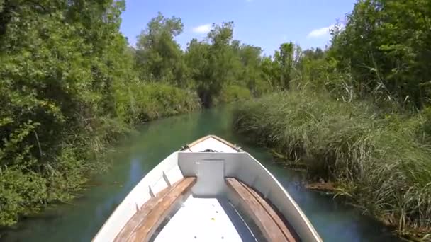 Příď Lodi Postupuje Úzké Řece Obklopen Rákosím Příď Bílé Dřevěné — Stock video