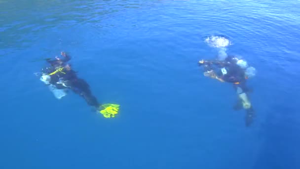 Divers Sumergirse Agua Mediante Hundimiento Por Primera Vez Divers Natación — Vídeos de Stock