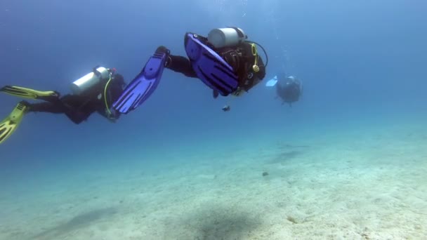 Divers Swimming Underwater Sea Training Education Professional Diving People Swim — стоковое видео