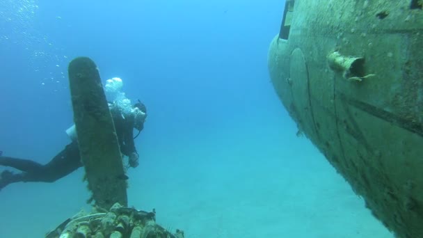 Zřícenina Potopeného Letadla Pod Mořem Staré Historické Válečné Letadlo Pokryté — Stock video