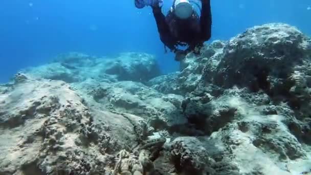 Diver Ist Schwimmen Der Unterwassermeer Ausbildung Und Ausbildung Von Professionellen — Stockvideo