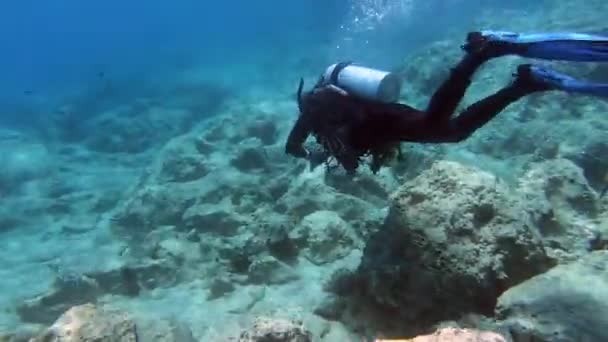 Diver Κολυμπά Στην Υποβρύχια Θάλασσα Εκπαίδευση Και Εκπαίδευση Των Επαγγελματιών — Αρχείο Βίντεο