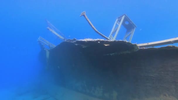 Real Old Sunken Ship Wreck Underwater Sea Submerged Boat Ocean — Stock Video