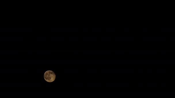 7680X4320 4320P Full Moon Raises Scredless Night Sky Black Background — 비디오