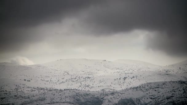 7680X4320 Snowy Heuvels Met Dunne Bomen Winter Storm Wolken Sneeuw — Stockvideo
