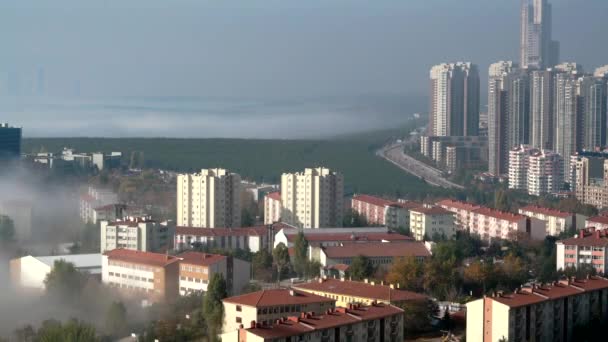 7680X4320 Houses 의거리는 아래에 Fog 보이는 안개로 구성되어 — 비디오