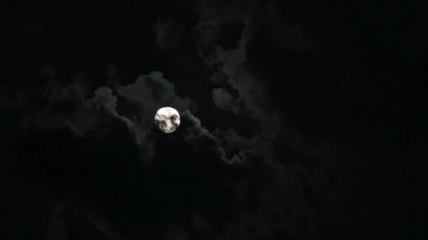 7680X4320 4320P 夜空に満月と雲 曇り空の嵐自然夜のホロスコープ通過天文学満月の観察雲の雲雲の風景暗い夢の夜のタイムラプス通過夢の夕暮れ光るフクロウの光悲しい — ストック動画