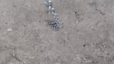 8K 7680x4320.Zincir düşüyor. Zincirler tepeden tırnağa. Sanayi bölgesinde ticari görüntüler. Metal endüstrisi üretimi. Paslı demir ve çelik..