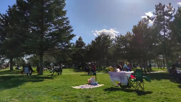 7680X4320 Time Lapse Video Public Park Happy People Sunbathing Grass — Stock Video