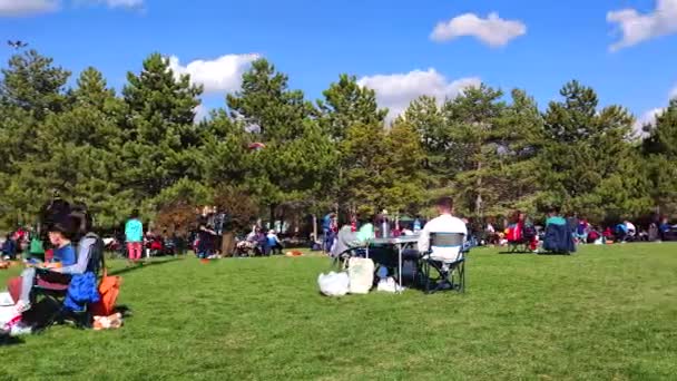 7680X4320 Time Lapse Video Public Park Happy People Sunbathing Grass — Stock Video