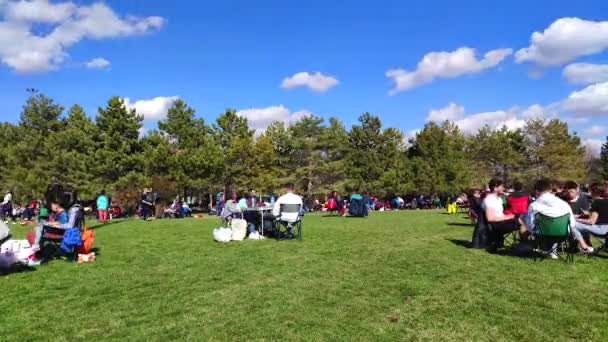 7680X4320 Time Lapse Video Veřejného Parku Happy Lidé Opalování Trávě — Stock video