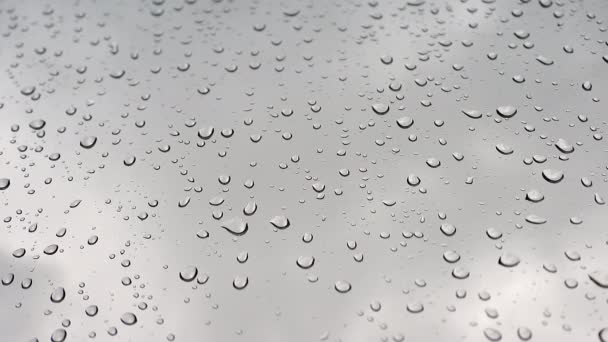 7680X4320 Water Drops Rain Wet Window Glass Surface Transparent Blobs — Stock Video