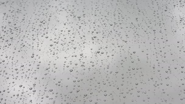 7680X4320 Water Drops Rain Wet Window Glass Surface Transparent Blobs — Stock Video